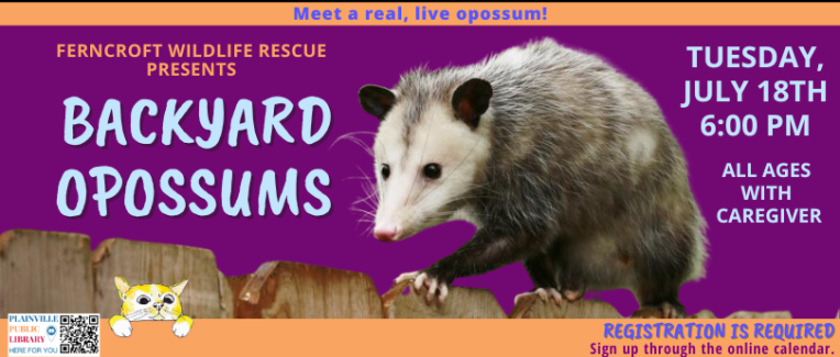 Ferncroft Wildlife Rescue: Backyard Opossums. Tuesday, July 18th at 6 PM. All Ages with Caregiver.