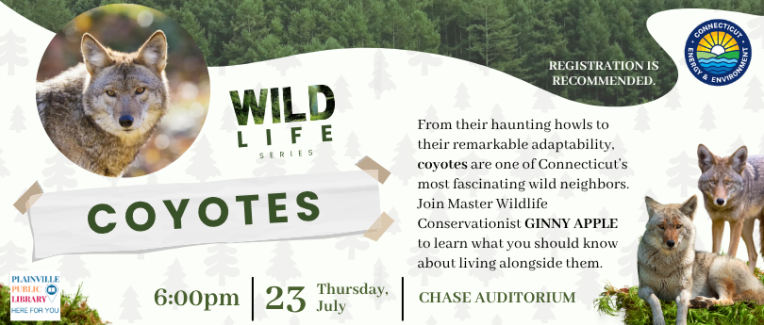 Coyotes