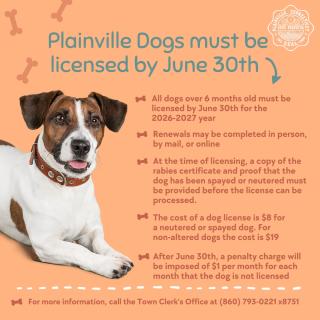 dog license graphic